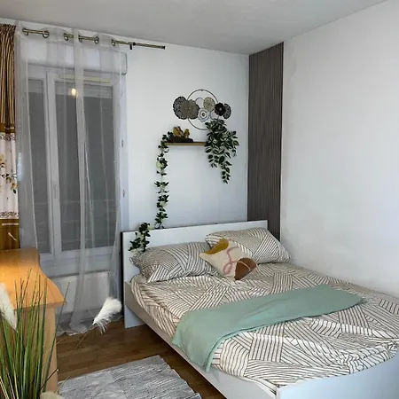 Large Cozy And Good Location In Grenoble